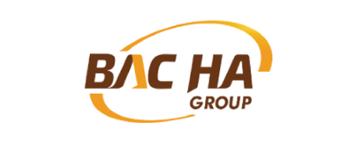 bacha
